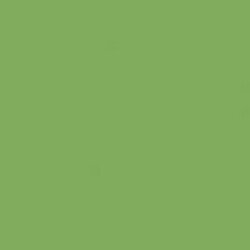 DecoArt Americana 2 oz. Foliage Green Acrylic Paint DA269-3 - The