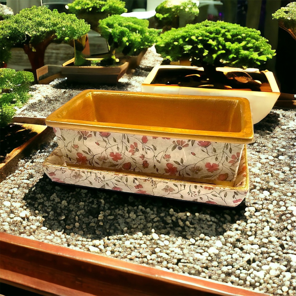 Bonsai Dish & Tray (Carton of 6)