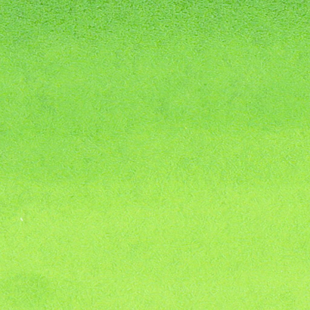 Zig Clean Colour Real Brush 409 Lime Green