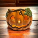 Medium Pumpkin with Leaves (Carton of 6)