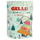 Gelli Arts Christmas Card Kit