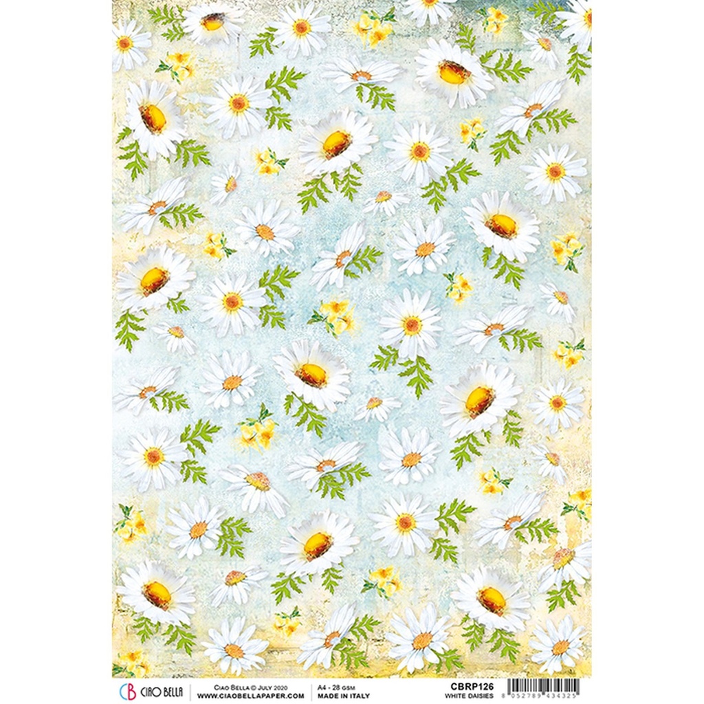 White Daisies  - Ciao Bella Piuma Rice Paper A4 - 5 Pack