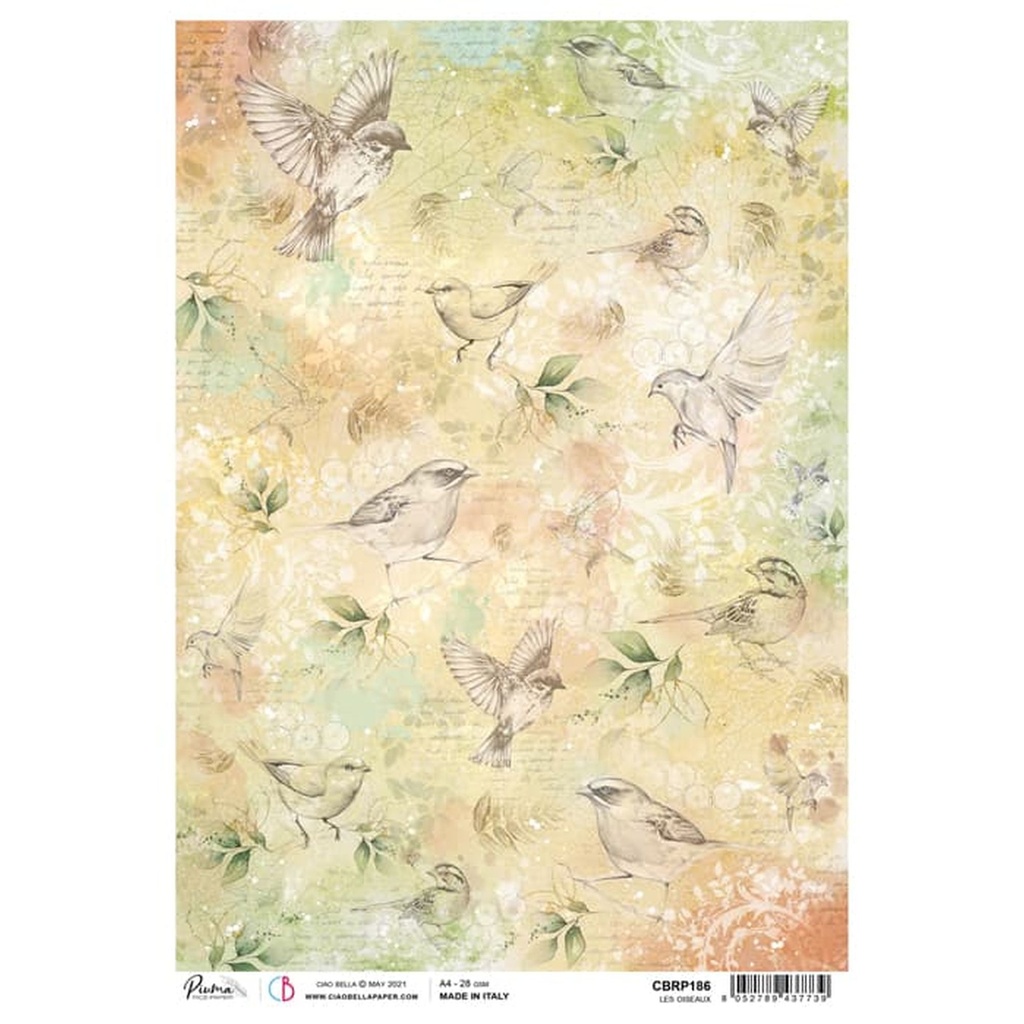 Les Oiseaux - Ciao Bella Piuma Rice Paper A4 - 5 Pack