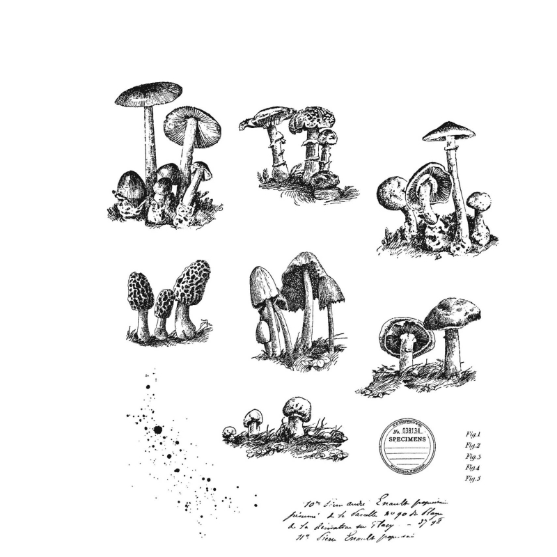 Tim Holtz Cling Stamps - Tiny Toadstools