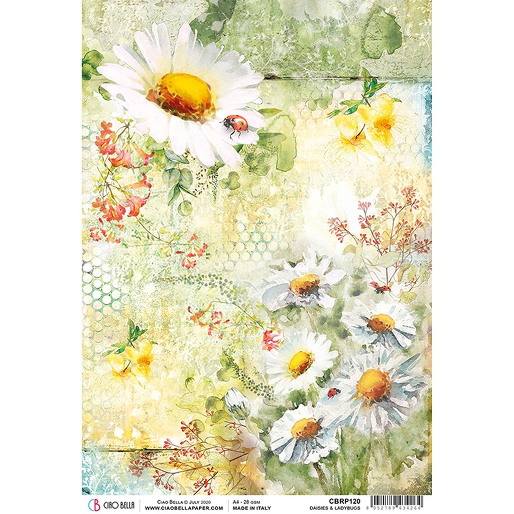 Daisies & Ladybugs  - Ciao Bella Piuma Rice Paper A4 - Single Sheet