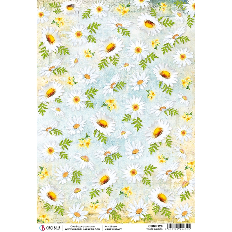 White Daisies  - Ciao Bella Piuma Rice Paper A4 - 5 pack