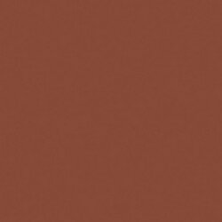 Burnt Sienna Crafters Acrylic 2oz