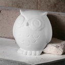 Large Hoot (owl) money box (carton of 6)