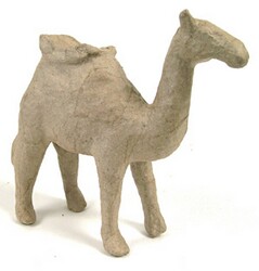 Camel with saddle