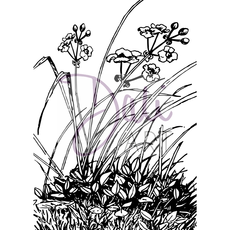 DA Meadow Flowers A6