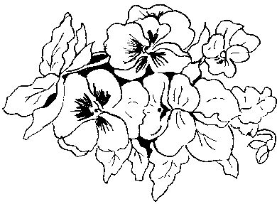 Pansies - Traditional Wood Mounted Stamp