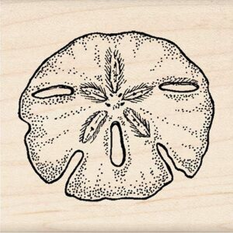 Sand Dollar