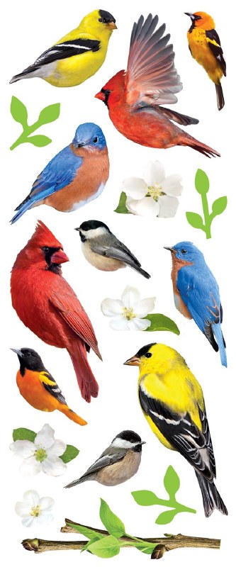 Backyard Birds - Sticker - 3d