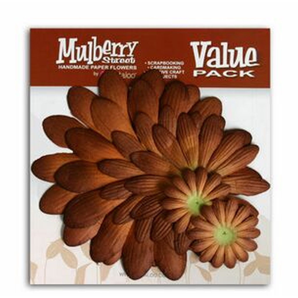 Giant Daisy Layers - Mocha