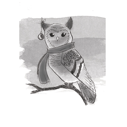 Winter Owl