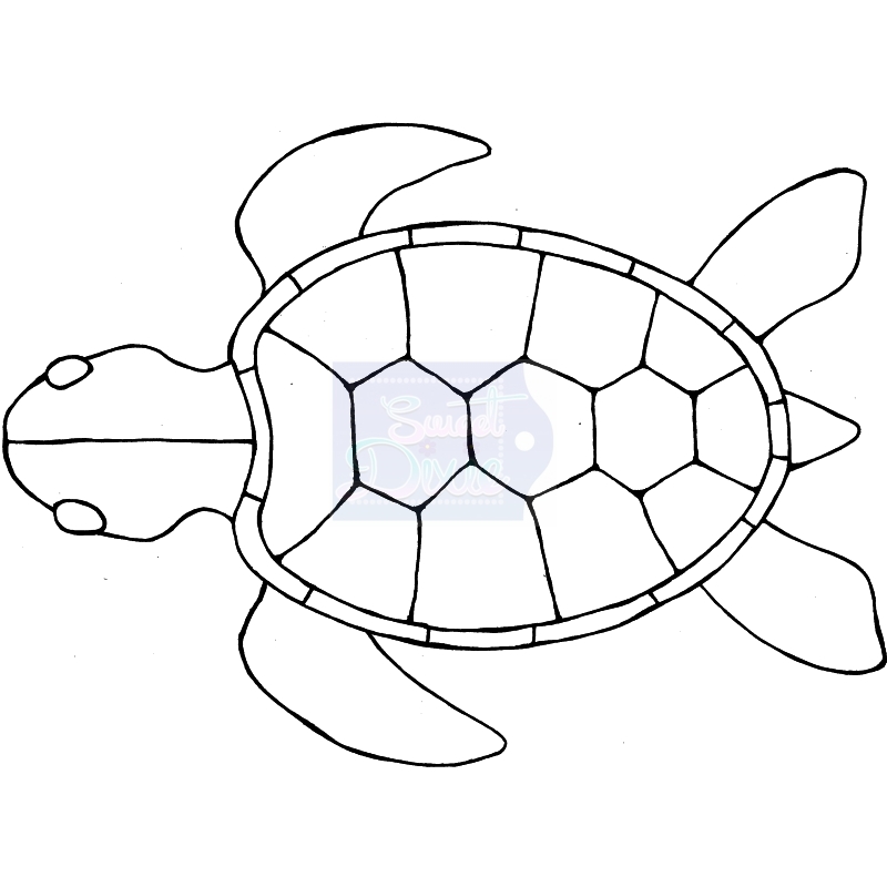 LM Zendoodle - Sea Turtle