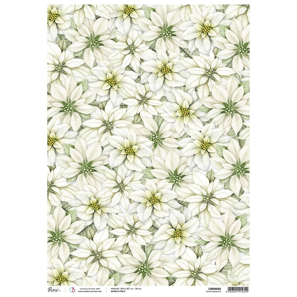 White Poinsettia - Ciao Bella Piuma Rice Paper A3 - Single Sheet